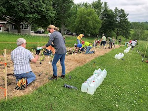 Photo of a planting event at Stewart Lake County Park